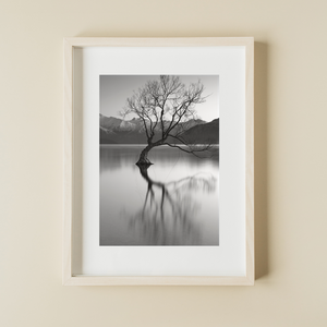Lake Wanaka Tree - BWSM054