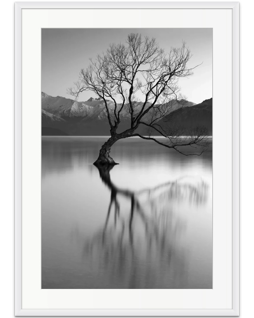 BWSM054_1024x.webp?v=1675757052
