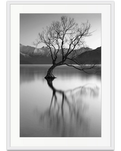 Lake Wanaka Tree - BWSM054