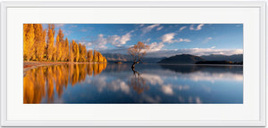 Lake Wanaka in Autumn  - SMP062
